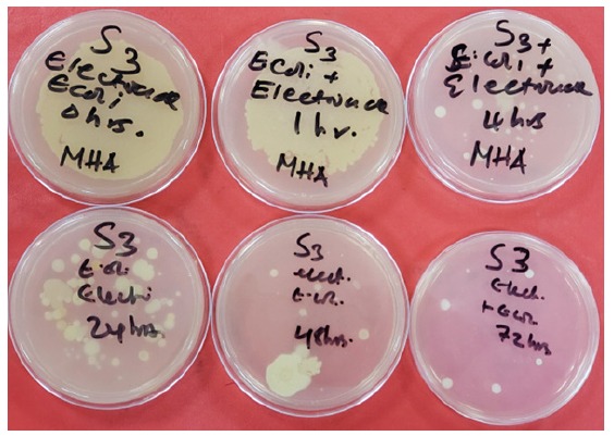 Biomedical Science &, Research Biomedical Science &, Research