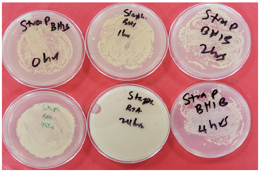 Biomedical Science &, Research Biomedical Science &, Research