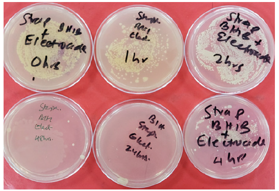 Biomedical Science &, Research Biomedical Science &, Research