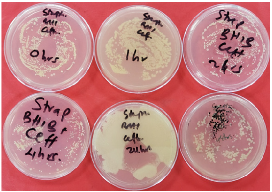 Biomedical Science &, Research Biomedical Science &, Research