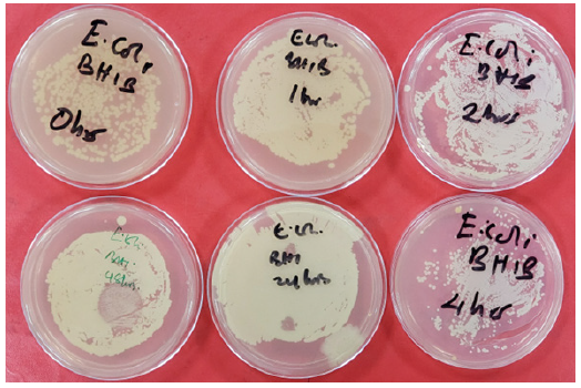 Biomedical Science &, Research Biomedical Science &, Research