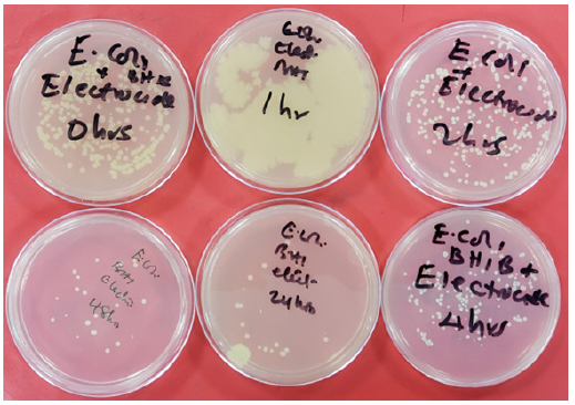 Biomedical Science &, Research Biomedical Science &, Research