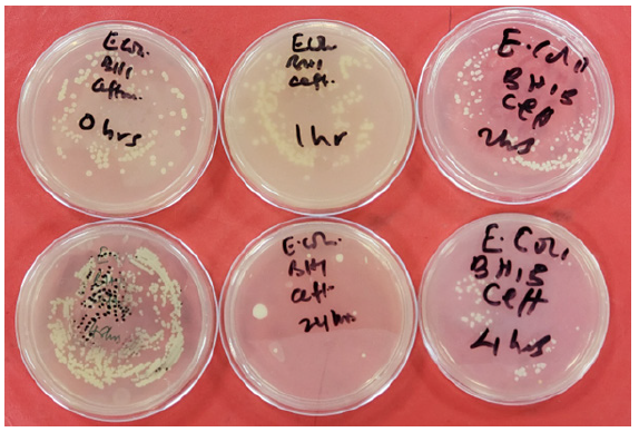 Biomedical Science &, Research Biomedical Science &, Research