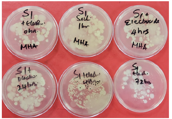 Biomedical Science &, Research Biomedical Science &, Research