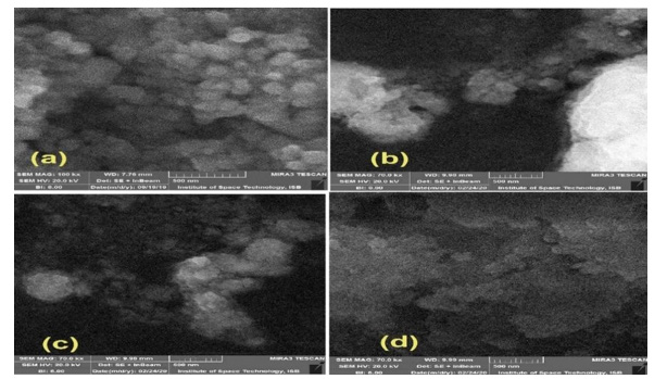 Biomedical Science &, Research Biomedical Science &, Research