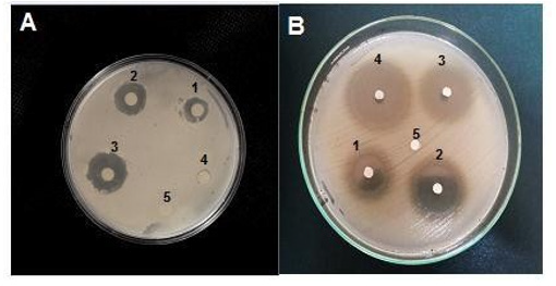 Biomedical Science &, Research Biomedical Science &, Research