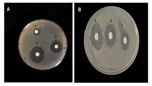 Biomedical Science &, Research Biomedical Science &, Research