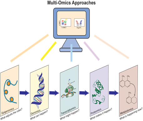 Biomedical Science &, Research Biomedical Science &, Research
