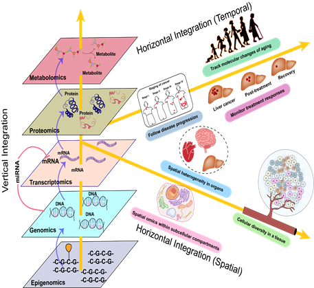Biomedical Science &, Research Biomedical Science &, Research