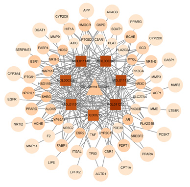 Biomedical Science &, Research Biomedical Science &, Research