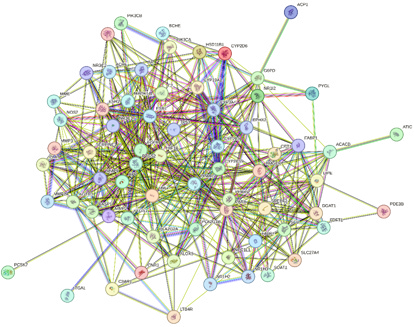 Biomedical Science &, Research Biomedical Science &, Research