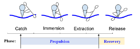 Biomedical Science &, Research Biomedical Science &, Research