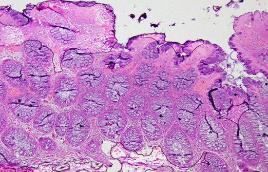 Biomedical Science &, Research Biomedical Science &, Research