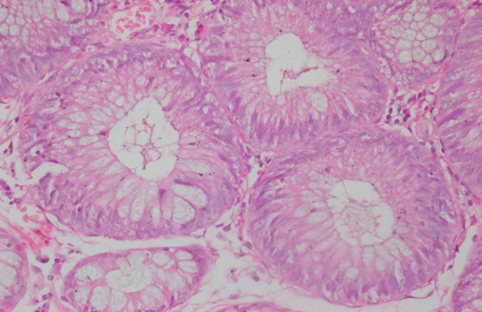 Biomedical Science &, Research Biomedical Science &, Research