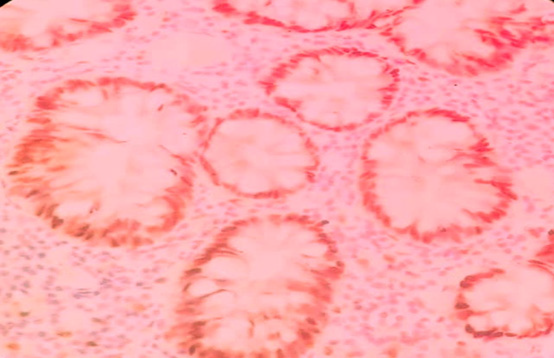 Biomedical Science &, Research Biomedical Science &, Research