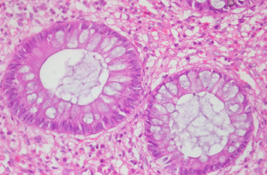 Biomedical Science &, Research Biomedical Science &, Research