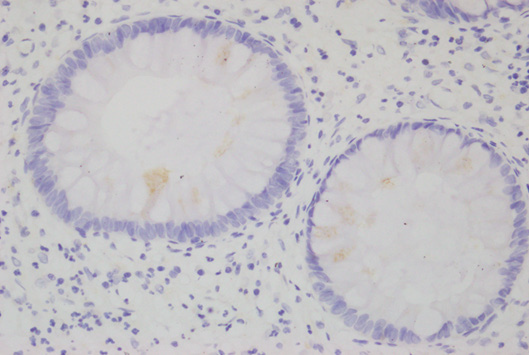 Biomedical Science &, Research Biomedical Science &, Research