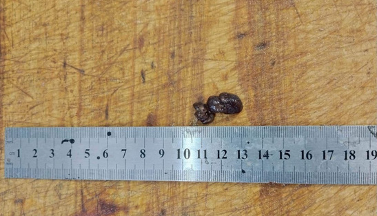 Biomedical Science &, Research Biomedical Science &, Research