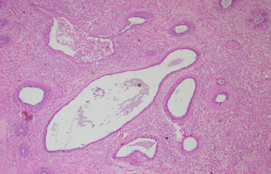 Biomedical Science &, Research Biomedical Science &, Research