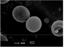 Biomedical Science & Research Biomedical Science & Research