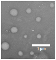 Biomedical Science & Research Biomedical Science & Research
