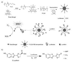 Biomedical Science & Research Biomedical Science & Research