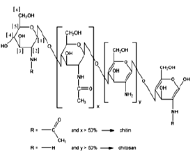 Biomedical Science & Research Biomedical Science & Research