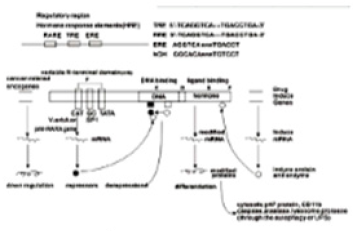 Biomedical Science & Research Biomedical Science & Research