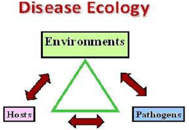 Biomedical Science & Research Biomedical Science & Research