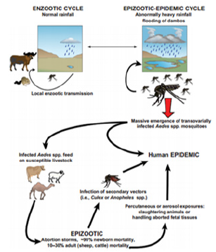 Biomedical Science & Research Biomedical Science & Research