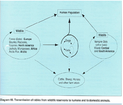 Biomedical Science & Research Biomedical Science & Research