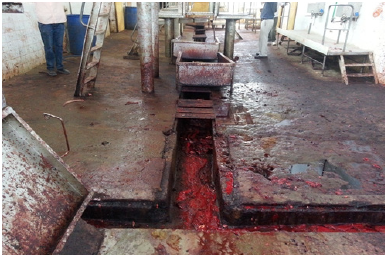 Biomedical Science & Research Biomedical Science & Research