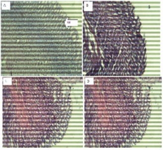 Biomedical Science & Research Biomedical Science & Research