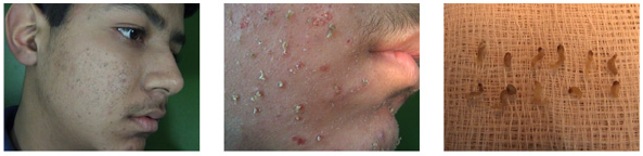 Biomedical Science & Research Biomedical Science & Research