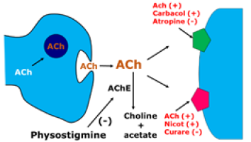 Biomedical Science & Research Biomedical Science & Research