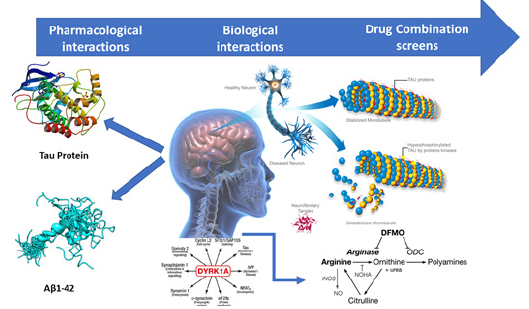 Biomedical Science & Research Biomedical Science & Research
