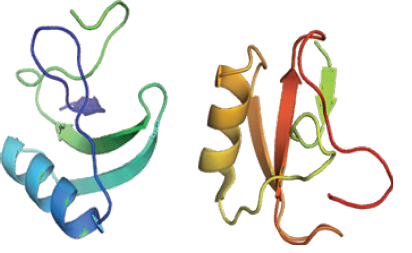 Biomedical Science & Research Biomedical Science & Research