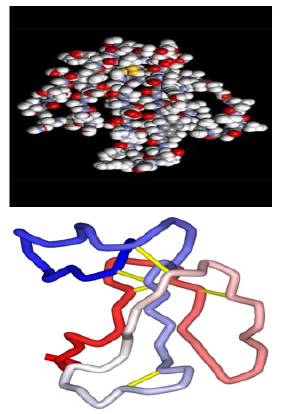 Biomedical Science & Research Biomedical Science & Research