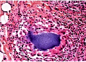 Biomedical Science & Research Biomedical Science & Research