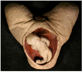 Biomedical Science & Research Biomedical Science & Research