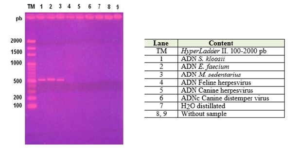 Biomedical Science & Research Biomedical Science & Research