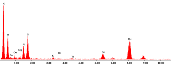 Biomedical Science & Research Biomedical Science & Research