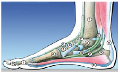 Biomedical Science & Research Biomedical Science & Research