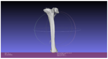 Biomedical Science & Research Biomedical Science & Research