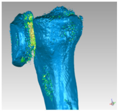 Biomedical Science & Research Biomedical Science & Research