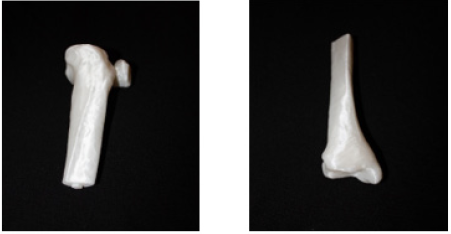 Biomedical Science & Research Biomedical Science & Research