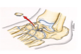 Biomedical Science & Research Biomedical Science & Research