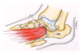 Biomedical Science & Research Biomedical Science & Research