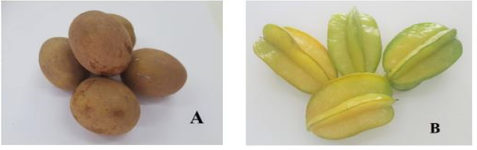 Biomedical Science & Research Biomedical Science & Research