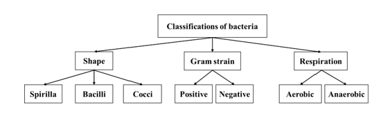 Biomedical Science & Research Biomedical Science & Research